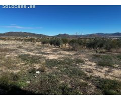 Terreno rural en Venta en Monovar - Monover, Alicante