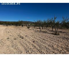 Terreno rural en Venta en Monovar - Monover, Alicante