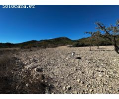 Terreno rural en Venta en Monovar - Monover, Alicante