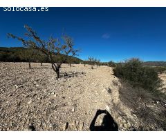 Terreno rural en Venta en Monovar - Monover, Alicante