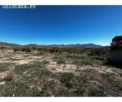Terreno rural en Venta en Monovar - Monover, Alicante
