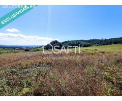 TERRENO EN VENTA EN SEARES DE ARRIBA - TAPIA-AMES.