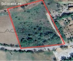 SOLAR EN VENTA EN TORREMOCHA DE JARAMA ( EL MOLAR)