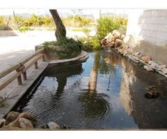 EXCLUSIVA FINCA RUSTICA CON VISTAS INIGUALABLES