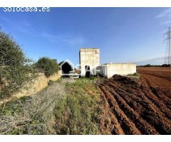 Terreno rustico de 3 hectáreas con pozo propio y aljibe en el sur de Ciutadella