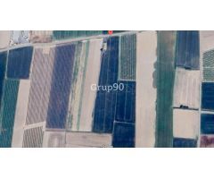 Finca de regadío con almacenes en venta en Alcoletge.