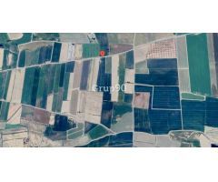 Finca de regadío con almacenes en venta en Alcoletge.