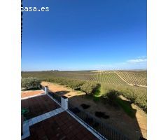 Espectacular chalet en Écija, en urbanización privada Cerro de San Cristóbal!!