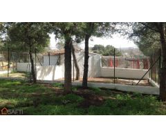 Casa de campo sobre finca rústica, más de 10.000m2