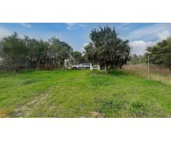 Casa de campo sobre finca rústica, más de 10.000m2