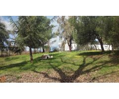 Casa de campo sobre finca rústica, más de 10.000m2