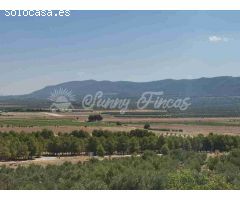 Casa de campo-Masía en Venta en Beneixama Alicante 