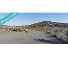TERRENO URBANO Y RÚSTICO EN LA PASADILLA
