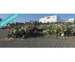 TERRENO URBANO Y RÚSTICO EN LA PASADILLA