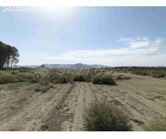 Suelo urbanizable en Venta en Villena Alicante 