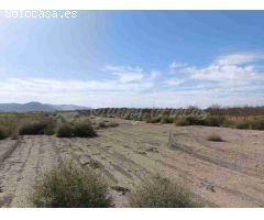 Suelo urbanizable en Venta en Villena Alicante 