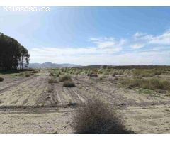 Suelo urbanizable en Venta en Villena Alicante 
