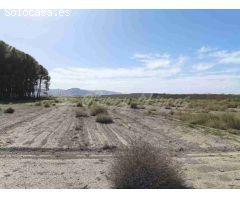 Suelo urbanizable en Venta en Villena Alicante 