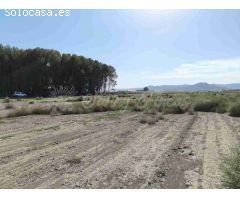 Suelo urbanizable en Venta en Villena Alicante 