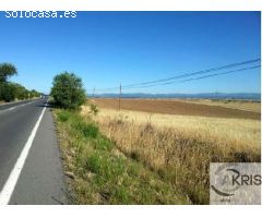 TERRENOS VENTA A PROFESIONALES EN NAVALCARNERO