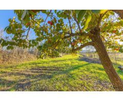 Terreno de Cultivo en Venta en Cruïlles, Baix Empordà