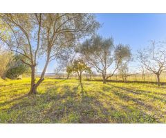 Terreno de Cultivo en Venta en Cruïlles, Baix Empordà