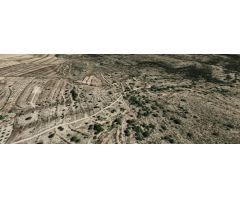 Terreno rural en Venta en Monovar - Monover, Alicante