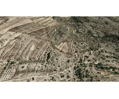 Terreno rural en Venta en Monovar - Monover, Alicante