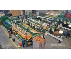 Nave industrial en Alquiler en Nules Castellón