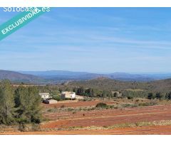 FANTASTICOS TERRENOS DE REGADIO EN MONTESA