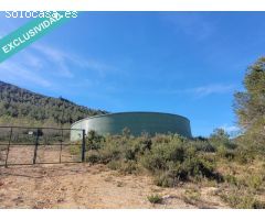 FANTASTICOS TERRENOS DE REGADIO EN MONTESA