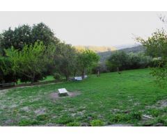 Casa de campo-Masía en Venta en Gaucín Málaga 