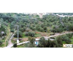 El terreno ideal para tu proyecto rural en la Serranía de Ronda