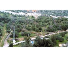 El terreno ideal para tu proyecto rural en la Serranía de Ronda