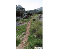 El terreno ideal para tu proyecto rural en la Serranía de Ronda