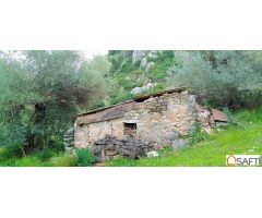 El terreno ideal para tu proyecto rural en la Serranía de Ronda