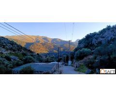 El terreno ideal para tu proyecto rural en la Serranía de Ronda