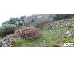 El terreno ideal para tu proyecto rural en la Serranía de Ronda