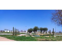 Apartamento en Venta en Torre Pacheco Murcia