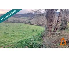 Un rincón de naturaleza a solo 10 minutos de Villaviciosa.