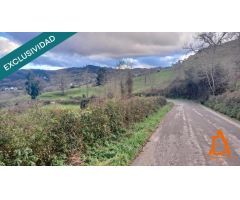 Un rincón de naturaleza a solo 10 minutos de Villaviciosa.