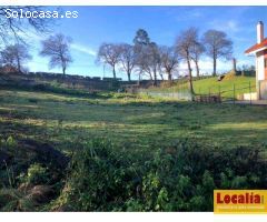 Lote de 5 suelos para inversión en Oviedo