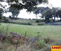 Lote de 5 suelos para inversión en Oviedo