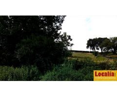 Lote de 5 suelos para inversión en Oviedo
