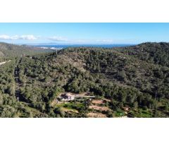 Impresionante finca rústica de lujo en Calvià