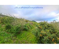 Casa de pueblo en Venta en Lomo Oscuro De Abajo Santa Cruz de Tenerife 