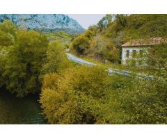 Tu refugio de ensueño en la naturaleza asturiana: serenidad y comodidad en un lugar especial