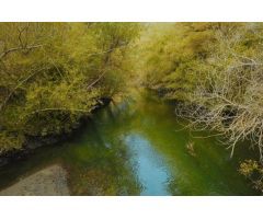 Tu refugio de ensueño en la naturaleza asturiana: serenidad y comodidad en un lugar especial
