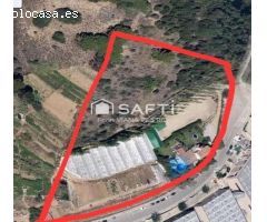 Tu hogar ideal con piscina, jardín y vivero.