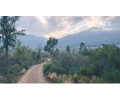Masía Reconstruible en pleno Bosque y Naturaleza con Vistas Panorámicas.